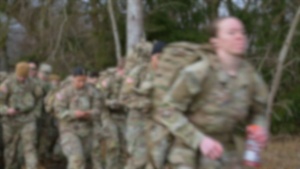 The Road to Gold - GAFPB