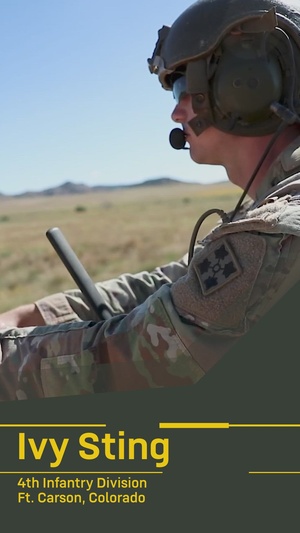 Ivy Sting IV | NGC2 | CPE ISW Summary