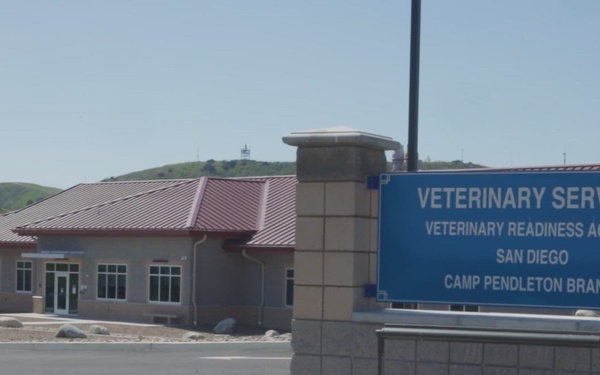 MCB Camp Pendleton Vet Clinic BRoll