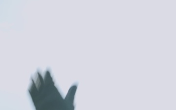 Tennessee Army National Guard Conducts Multinational Medevac and Hoist Training with Allied Forces During KFOR 36