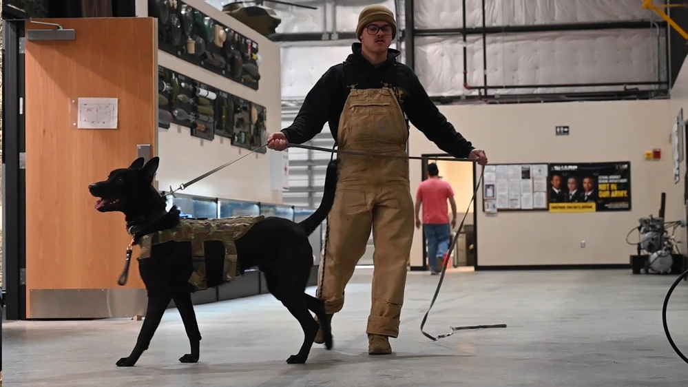 DVIDS - Video - Partners in Service: The Bond Between a MWD and His Handler