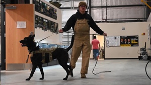 Partners in Service: The Bond Between a MWD and His Handler