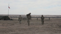 Ivy Sting 5 Artillery