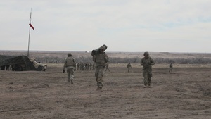 Ivy Sting 5 Artillery