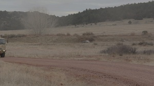 Ivy Sting 5 Situational Training Exercise