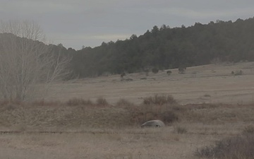 Ivy Sting 5 Situational Training Exercise