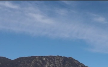 Ivy Sting 5 Social Media Reel