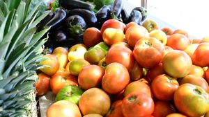 Nourishing the future: LAMAT 2026 nutrition in Saint Kitts and Nevis