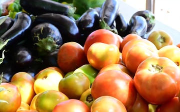 Nourishing the future: LAMAT 2026 nutrition in Saint Kitts and Nevis