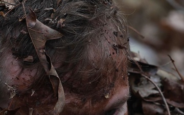 Mystery Round Robin Events (B-Roll Package)