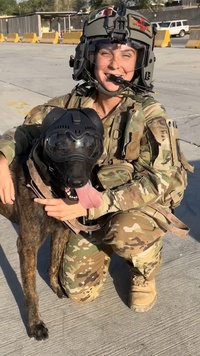 Connecticut Army National Guard honors military working dogs on K-9 Veterans Day