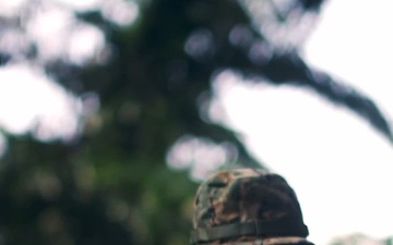 Reel: When Deterrence Fails...