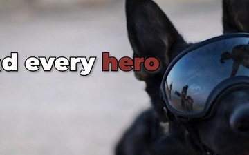K9 Memorial Day