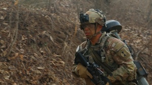 Freedom Shield 26 amphibious assault broll