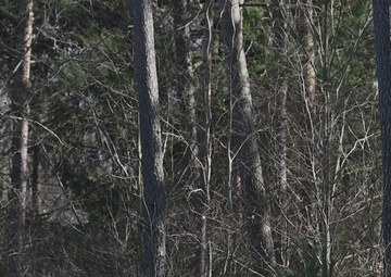 xTech|Edge: Ground Strike B-Horizontal B-Roll Package 6