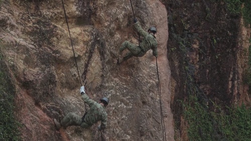 Jungle Warfare Training with Japan Ground Self-Defense Force BRoll Collection