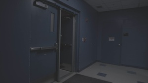 Lima Company Firewatch