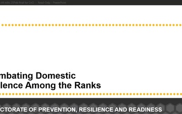 Combating Domestic Violence Among the Ranks