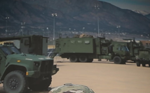 Ivy Sting 5 Culminating Reel