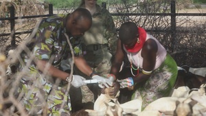 Broll: US, Kenya Veterinary Civil Action Program builds strong bonds during Justified Accord 2026