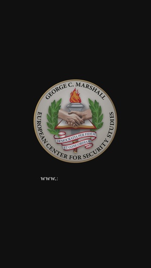 Participant interviews