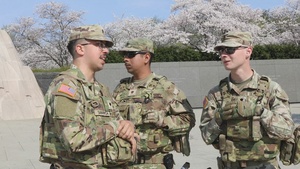 JTF- Cherry Blossom Patrol