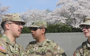 JTF- Cherry Blossom Patrol