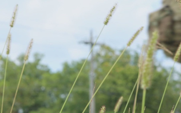 2026fieldtestedcampaign