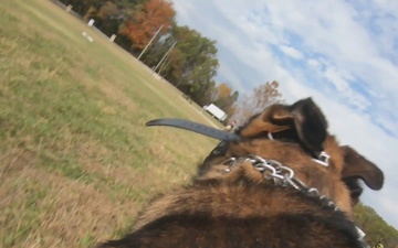 2026fieldtestedcampaign