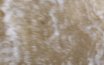 2026fieldtestedcampaign