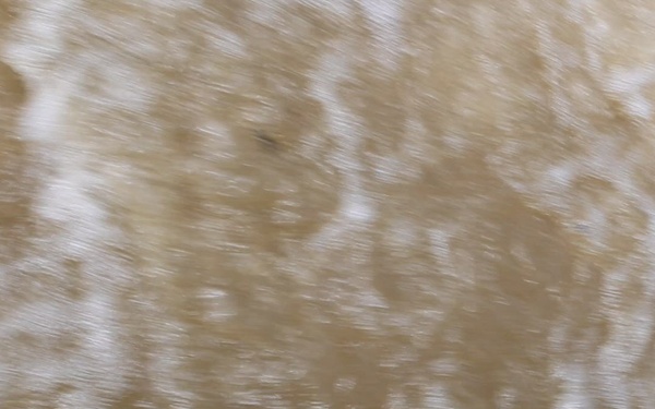 2026fieldtestedcampaign