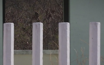 716th Explosive Ordnance Disposal Company &amp; Royal Thai Army EOD Training