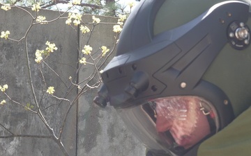 52 EOD Broll package