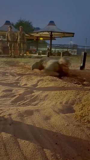 Day 3 Avcoe Best Squad Recap