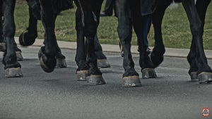 An Ace Long Remembered | Col. (Ret.) Bud Anderson's Final Honors