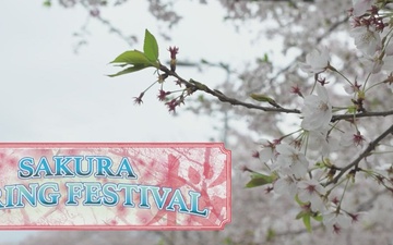 Pacific Update-Yokota Air Base Sakura Festival