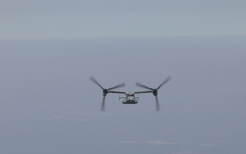 VMM-261 celebrates 75 years of honorable service