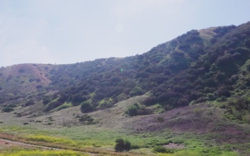 Bushmaster challenge 2026