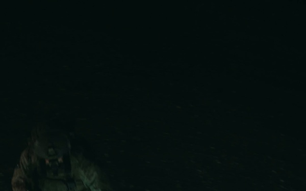 1SFG(A)  Silent Eagle K9 Training Reel