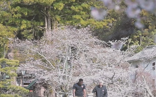 Hanami at Kikko Park, Iwakuni, Japan 2026