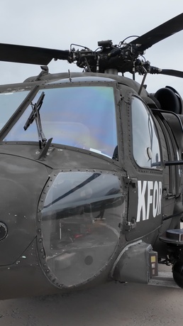 Multinational partners develop K-9 MEDEVAC procedures for working dogs across KFOR