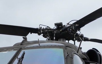 Multinational partners develop K-9 MEDEVAC procedures for working dogs across KFOR