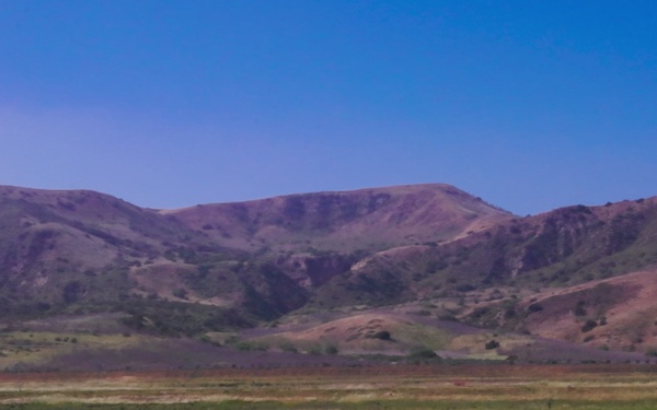 B-Roll: Bushmaster Competition 26