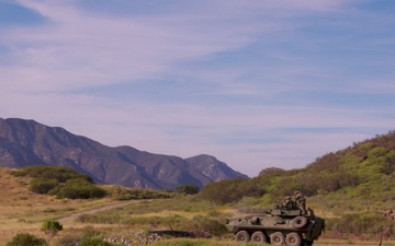 B-Roll: Bushmaster Competition 26