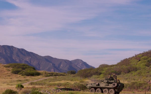 B-Roll: Bushmaster Competition 26