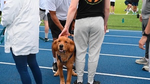 Team Whiteman takes on SAAPM Color Run 5k (Horizontal Format)