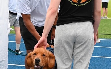 Team Whiteman takes on SAAPM Color Run 5k (Horizontal Format)