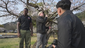 B-Roll: Kikko Park Outtakes, Iwakuni, Japan, 2026