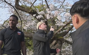 B-Roll: Kikko Park Outtakes, Iwakuni, Japan, 2026