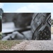 JBSA-Camp Bullis hosts training, sharpens readiness skills